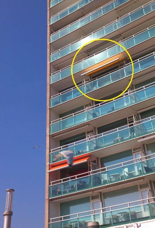 Studio At Sea Зандфорт Номер фото